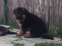 /album/a5-weeks/stenka-b-vrh-021-jpg/